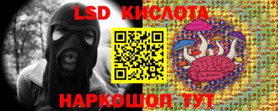 прущая мука Будённовск