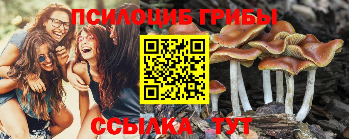 Мефедрон кристаллы  Гашиш  ГАШ  Мефедрон  Кокаин  ТГК  Бошки Шишки  Заречный  КЕТАМИН  Вход с VPN 