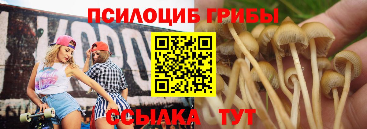 Заречный  Галлюциногенные грибы GOLDEN TEACHER  Вход с VPN 